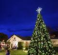 City of Newberry's Christmas Tree