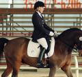 Horse and rider