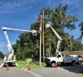 Bucket Trucks