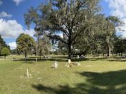 Cemetery