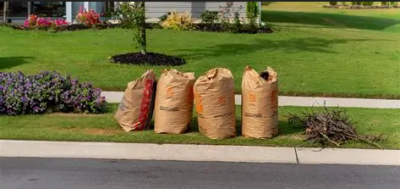 yard trash image