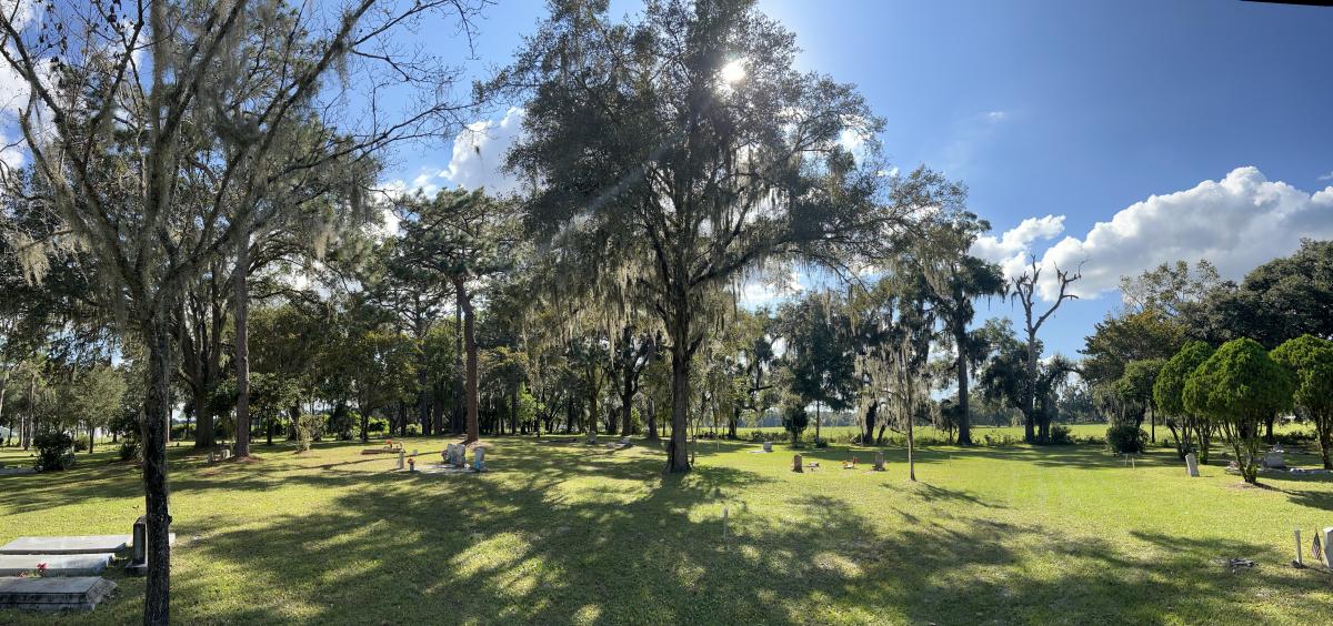 View of cemetery